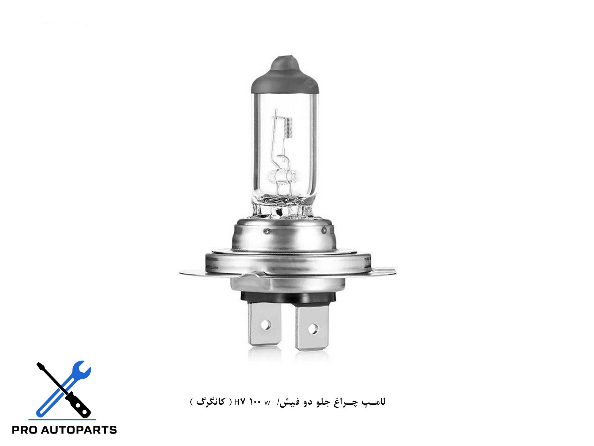 لامپ چراغ جلو دو فیش/  H7 100 w ( کانگرگ )
