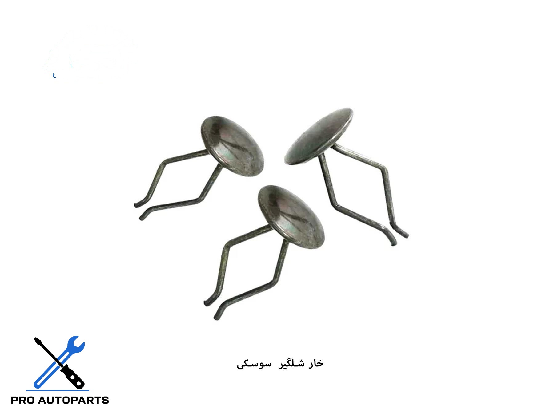 خار شلگیر  سوسکی