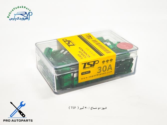 فیوز دو شاخ / 30 آمپر ( TSP )