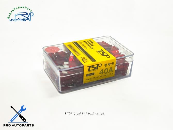 فیوز دو شاخ / 40 آمپر ( TSP )