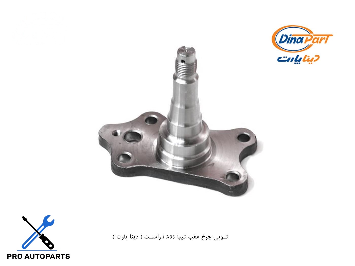 توپی چرخ عقب تیبا ABS / راست ( دینا پارت )