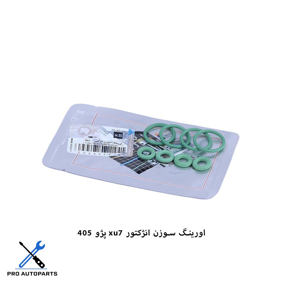 اورینگ انژکتور پژو 405 قدیم ویژن (VISIUN)